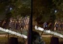 (ВИДЕО) Пара иностранцев была избита на Чеканах